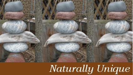 eshop at Naturally Unique's web store for American Made products